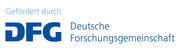 dfg_logo_schriftzug_blau_foerderung_4c